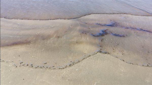 التلوث الزيتي بشاطئ