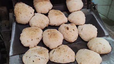 تحرير 32 محضرا تموينيا في ثالث أيام عيد الأضحى بالإسكندرية (صور)