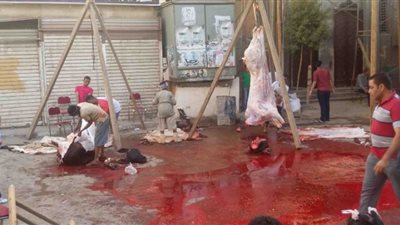 استشاري نفسي: يجب ألا يشاهد الأطفال الصغار خروج روح الذبائح