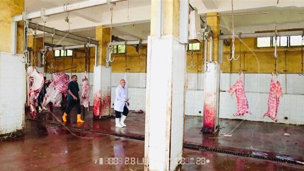 المجازر ـ إرشيفية