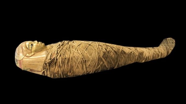 مومياء رجل فج الجاموس
