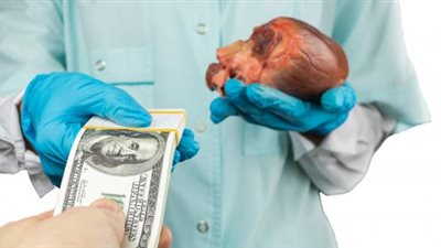 9 عمليات نقل كلى في عام.. ننشر التحقيقات مع أكبر تشكيل عصابي في تجارة الأعضاء البشرية (خاص)