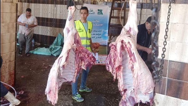 أضاحي الأوقاف_ أرشيفية