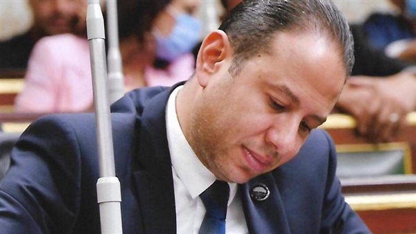 النائب حسن عمار 