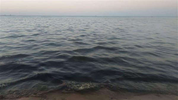 تلوث شاطئ سفاجا بمواد