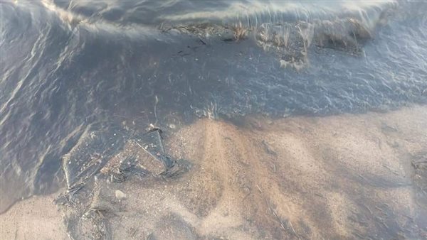 تلوث مياه البحر بالنفط