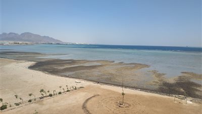 رغم إعلان السيطرة عليها.. ظهور بقع بترولية كبيرة على شواطئ سفاجا (صور)