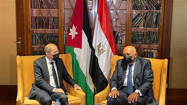 سامح شكري ونظيره