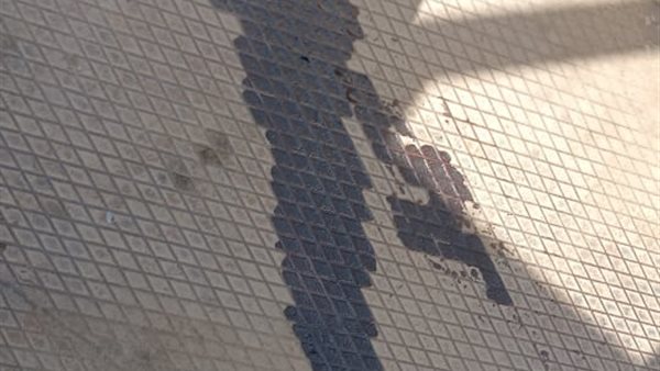 مقتل سيدة الجيزة