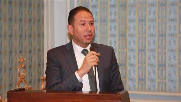 النائب حسن عمار 