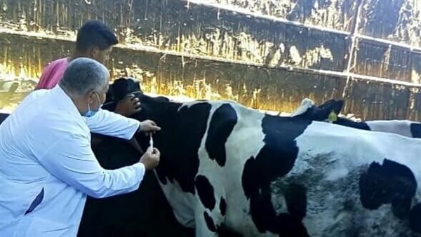 تحصين الماشية