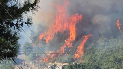 الحرائق تدمر 150 منزلًا في اليونان وسط محاولات للسيطرة عليها