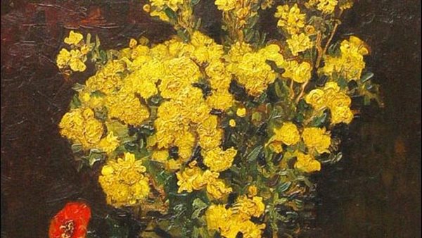 زهرة الخشخاش