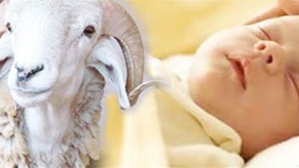 حكم استبدال العقيقة