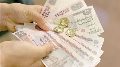 متي يحصل الموظف على حافز تميز علمي؟.. قانون الخدمة المدنية يجيب