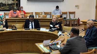 مكارم الغمري: العلاقة بين الثقافتين الروسية والعربية 