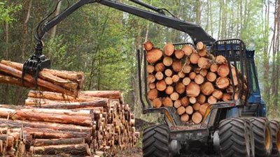 بدعم بناء المنازل.. توقعات بارتفاع أرباح شركات إنتاج الأخشاب بأمريكا الشمالية لمستويات قياسية