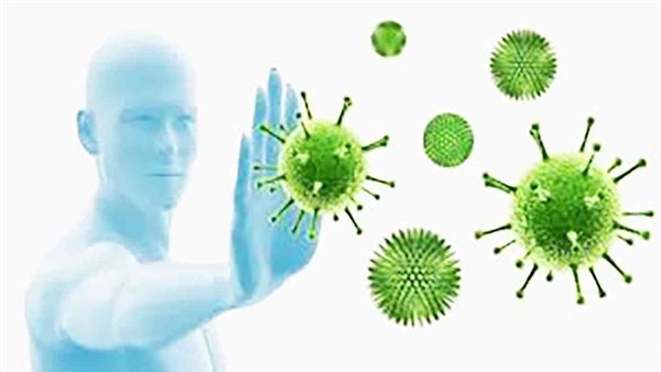 دراسة عن كورونا