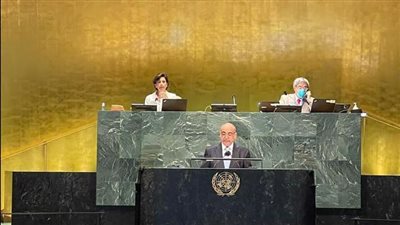 إشادة دولية واسعة برئاسة مصر للجنة بناء السلام