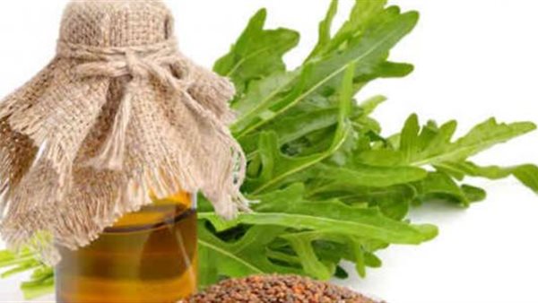 زيت الجرجير 