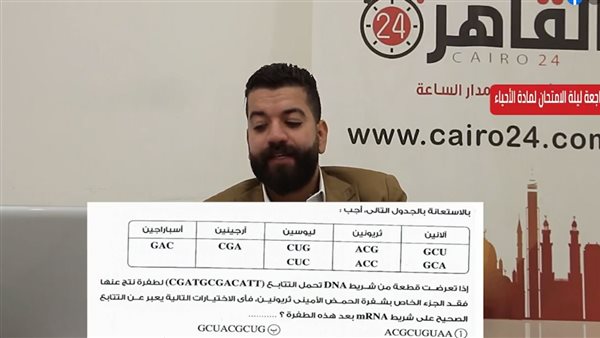 مراجعة القاهرة 24