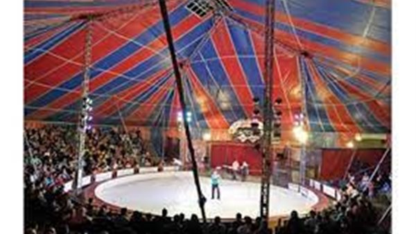 سيرك - صورة أرشيفية