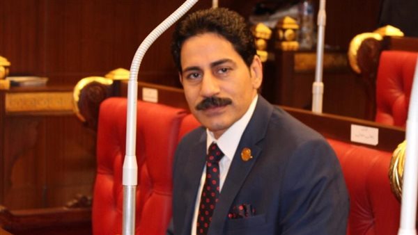 النائب فيكتور فاروق