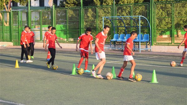 ملعب الاكاديمية