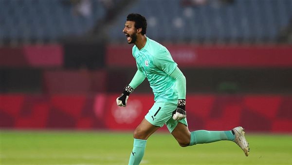 محمد الشناوي 