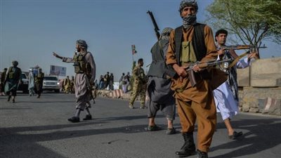 طالبان تشن حربًا للسيطرة على نصف مناطق زراعة الهيروين في العالم