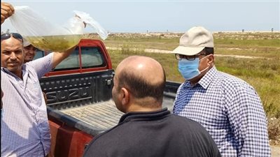 ضبط 174 ألف وحدة زريعة بلطي محظور نقلها بكفر الشيخ (صور)