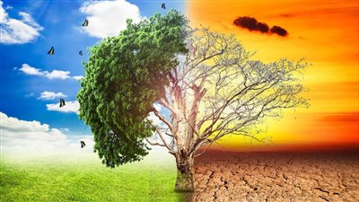  المنظمة العالمية للأرصاد: 50 مليار دولار تكلفة التكيف في إفريقيا سنويًا