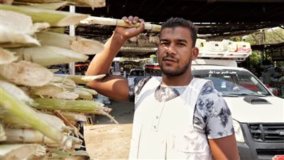 المصريون يواجهون الموجة الحارة بعصير القصب