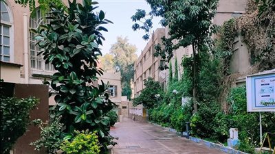 كل ما تريد معرفته عن اختبارات القدرات بكلية التربية الفنية جامعة حلوان