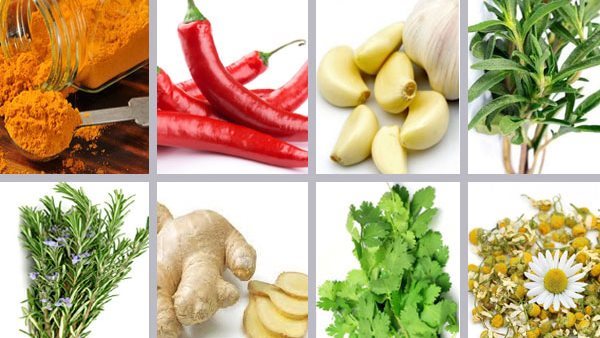 أطعمة تؤكل نيئة