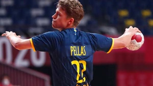 لاعب منتخب السويد