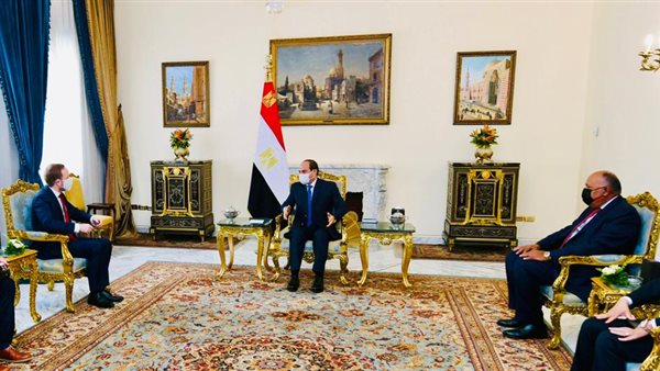 السيسي مع وزير الخارجية