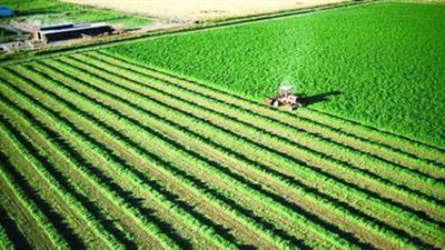  زيادة الإنتاج الزراعي بمعدل نمو 9 %.. تعرف على مستهدفات الزراعة بخطة العام الحالي