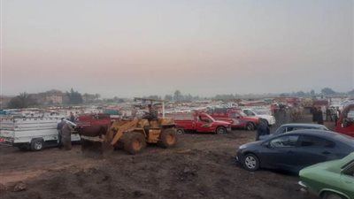 بأسعار مناسبة.. افتراش تجار إدفو بالسوق الأسبوعى وتوافد كبير للأهالي اليوم