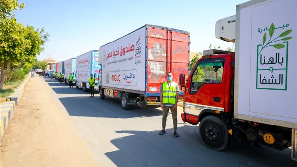 صندوق تحيا مصر