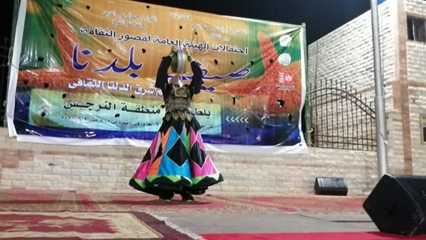 ثقافة كفر الشيخ