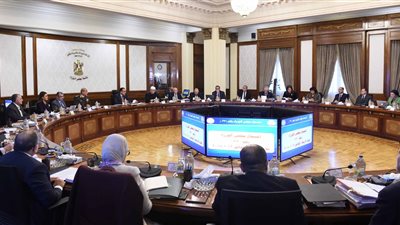 مجلس الوزراء يوافق على قرار تخصيص أرض لإقامة منطقة حرة بالجيزة