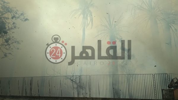 القاهرة 24