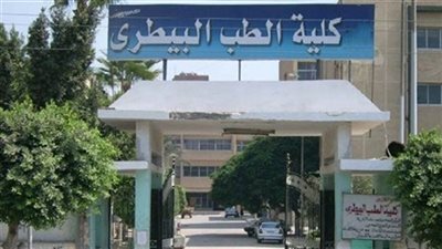 “#رجعوا_تكليف_طب_بيطري”.. قصة 3 شباب فجروا قضية تكليف خريجي بيطري بعد صمت 18 عامًا