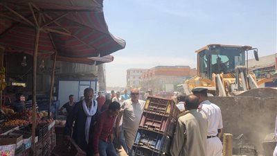 حملة مكبرة لإزالة الإشغالات أسفل كوبرى العامرية بالإسكندرية (صور)