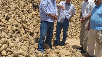 بعد انتهاء الموسم الشتوي.. “الزراعة” تكشف حقيقة تأجير مساحات من مشروع غرب المنيا  