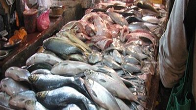 الجمبري بـ150 جنيها.. تعرف على أسعار الأسماك بسوق العبور اليوم الأثنين