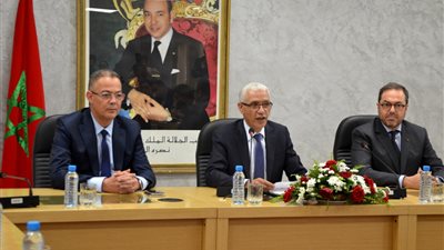 اتفاقية بين الحكومة والاتحاد المغربي لنقل جمهور أسود الأطلس إلى مصر