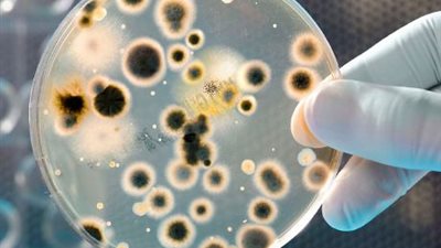 “آكلة لحوم البشر”.. ظهور بكتريا خطيرة تهدد الحياة بسبب ارتفاع درجات الحرارة