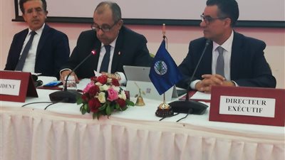 من تونس.. وزير الزراعة يُعلن تطوير صناعة الزيتون وزيادة فرص الاستثمار فيه (صور)